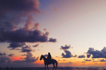 silhouette photo of person riding on horse under twilight sky
