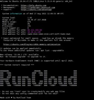 Default Ucapan Selamat Datang Terminal di RunCloud