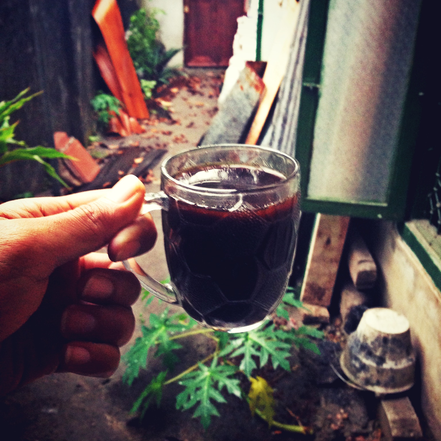 Prospek Bisnis Herbal Yogyakarta