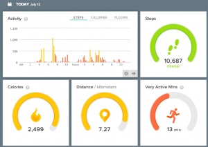 Hooraya FitBit Force