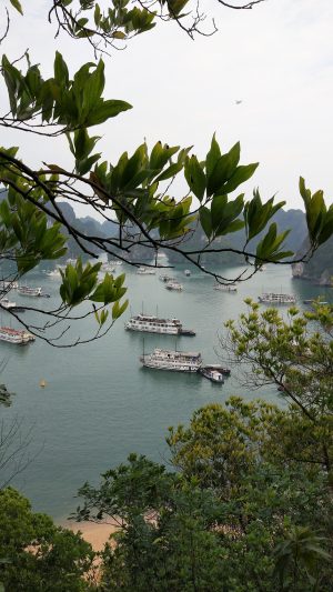 Wallpaper smartphone ha long bay vietnam #awardtrip2017 (2)